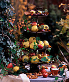 Metal tray with Cydonia (quince), Malus (apples), Hedera (ivy), autumn leaves