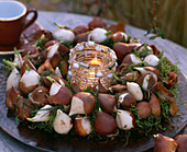 Straw Romans covered with moss and Tulipa (tulip bulbs)