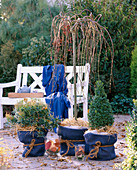 Decorative winter protection for plants in containers