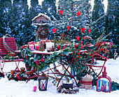 Abies nordmanniana (Nordmanntanne mit roten Sternen)