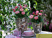 Bellis perennis (daisy) in glass vases with pebbles