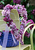 Syringa vulgaris, heart of lilac flowers hanged on the back of the chair