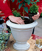 Bucket with fox stem