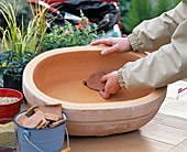 Planting a clay pot (1/8)
