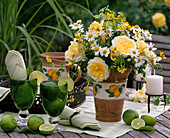 Rosa 'The Pilgrim' (English scented roses), Citrus limon (limes)