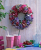 Hydrangea (Hydrangea wreath)