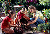 Potatoes in the pot