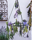 Lavandula (lavender), sachets, hearts