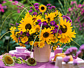 Helianthus / Sonnenblumen, Aster / Herbstastern