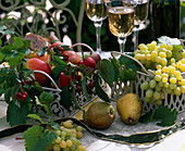 Vitis (grapes), Pyrus (pears)