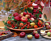 Malus (Äpfel) im Kranz aus Rosa (Hagebutten), Hedera (Efeu), Physalis (Lampionblume)