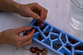 Berries Ice cubes