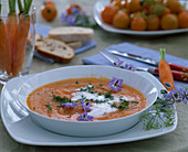 Daucus carota (carrots and carrot soup)