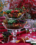 Brassica (mini ornamental cabbage) in glass tray decorated with pink rose hips, physalis