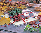 Rose (rosehip) kränzchen, Buxus (box wreath)