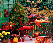 Thuja (tree of life), Physalis (lanterns on fairy lights), Chrysanthemum, Pyracantha