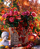 Rosa (mini pot roses), rosehips, Malus (apples), ornamental apples, Amelanchier (rock pear)