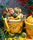 Cucurbita (pumpkins), Hedera (ivy), Pyracantha (firethorn), Rosmarinus (rosemary)