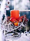 Malus (apples), Rosa (rose hips), twigs as candle decoration, bowl with foot