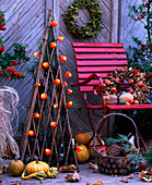 Cucurbita (pumpkins), Pinus (pine) and cones, Physalis (lanterns), Viscum (mistletoe wreath)