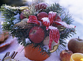 Topf mit Zweigen, Malus (Äpfel, Schleifen, Apfelscheiben mit Schnee und Rauhreif)