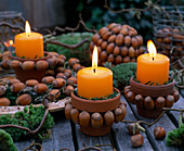 Corylus (hazelnuts) (2/2). Glued as a wreath on clay pots and as a ball.