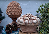 Fruit basket and pine cone in terracotta