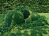 Evergreen shaped sculpture of Buxus (boxwood) and Hedera (ivy)