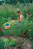 Frau im Bauerngarten schmust mit Katze, Korb mit frisch geerntetem Gemüse, Cosmos (Schmuckkörbchen), Salate (Lactuca)