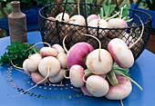 Turnips in basket and on terrace table