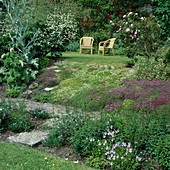 Viola (Hornveilchen), Thymus (Thymian), Rosa (Rosen), Salvia (Muskatellersalbei), Onopordum acanthium (Eselsdistel)