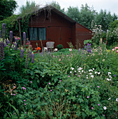 View from the perennial bed to the garden house: Lupinus (lupines), Geranium (cranesbill), Papaver (poppy)