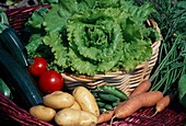 Basket with freshly harvested vegetables - lettuce (Lactuca), potatoes (Solanum tuberosum), carrots (Daucus carota), tomatoes (Lycopersicon), courgettes (Cucurbita pepo) and peas (Pisum)