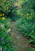 Path in the garden