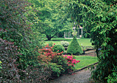 Blick auf Pavillon, Cotoneaster salicifolius (Weidenblättrige Zwergmistel), Azalea japonica (Japanische Azaleen), Buxus (Buchs) Kegel