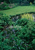 Pond in the garden Hyacinthoides hispanica, Myosotis, Hosta