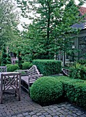Sitzgruppe auf Terrasse zwischen formgeschnittenen Buxus (Buchs), Liquidambar styraciflua (Amberbaum) beschattet Wintergarten