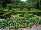 Formal garden with Buxus (box) in different shapes, Hedera (ivy) and Taxus (yew)