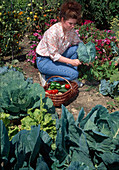 Woman harvesting vegetables