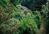 Landhaus-Garten mit blühendem Staudenbeet
