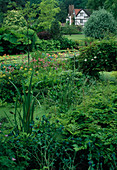View over ponds to country house, Primula florindae (summer primroses), Gunnera manicata (redwood leaf) as bank planting