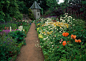 Path in the garden