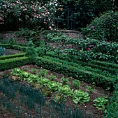 Bauerngarten mit Gemüsebeet, Buchshecken, Apfelbäumen  und Kletterrosen an Mauer