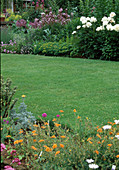Lawn between early summer beds with Paeonia (peonies) and other perennials