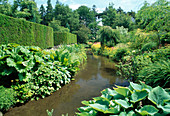 Kleiner Fluss mit Uferstauden in Parkanlage, Betula pendula 'Youngii' (Hängebirke), geschnittene Hecke trennt Gartenräume