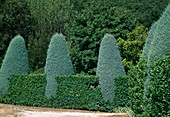 Formal garden