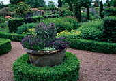 Well-tended garden with boxwood, large pot of sage, summer flowers, flower beds and beech hedge