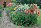 Herbaceous border: Kniphofia (torch lily), Geranium (cranesbill), Nepeta (catmint)