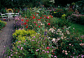 Colourful beds with geranium (cranesbill), alchemilla mollis (lady's mantle), Rosa 'Ballerina', 'The Fairy' (roses), papaver rhoeas (corn poppy), paved path leads to white seating area