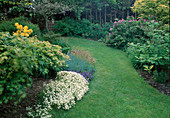 Lawn path between beds with Rhododendron (alpine rose), Saxifraga (moss saxifrage)